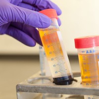 A close-up of a hand holding a test tube.